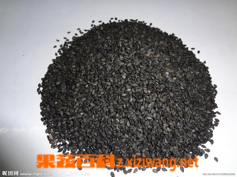 黑芝麻的功效与作用 常吃黑芝麻的好处