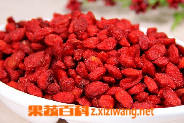 枸杞的功效与作用