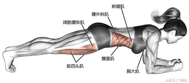 做平板支撑时身体会发抖，是哪里做的不对？