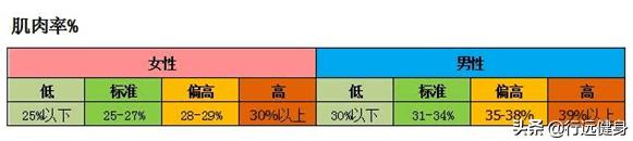 肚子上的肥肉多,想练出八块腹肌,是该减肥还是锻炼增肌?