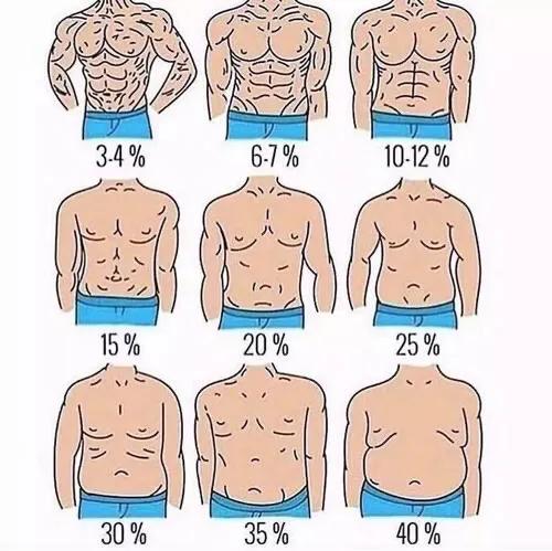 肚子上的肥肉多,想练出八块腹肌,是该减肥还是锻炼增肌?