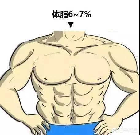 体脂要到达多少才能露出腹肌?