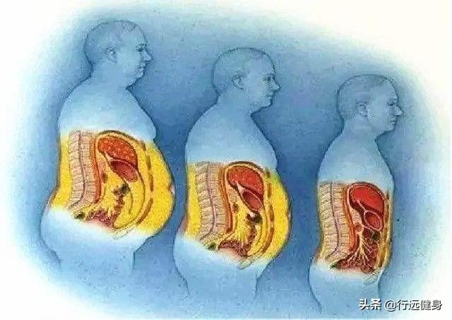 体脂要到达多少才能露出腹肌?