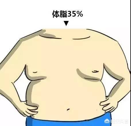 体脂要到达多少才能露出腹肌?