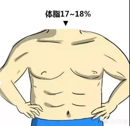 体脂要到达多少才能露出腹肌?