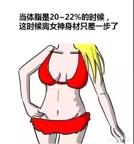 体脂要到达多少才能露出腹肌?