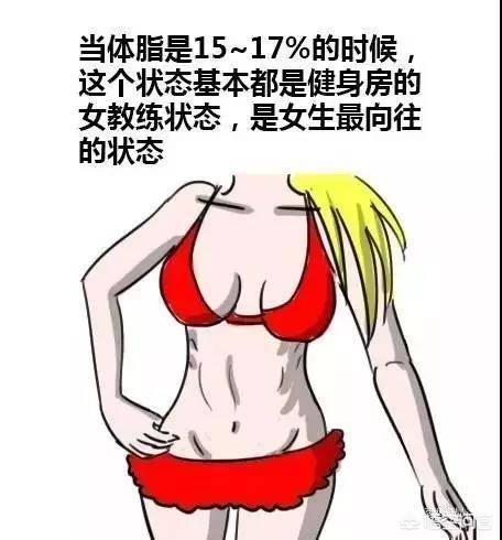 体脂要到达多少才能露出腹肌?