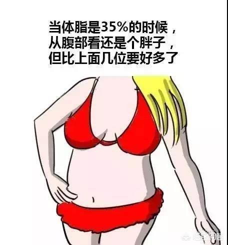 体脂要到达多少才能露出腹肌?