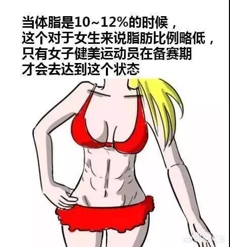 体脂要到达多少才能露出腹肌?