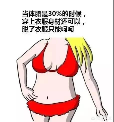 体脂要到达多少才能露出腹肌?