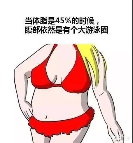 体脂要到达多少才能露出腹肌?