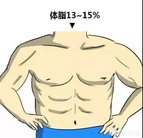 体脂要到达多少才能露出腹肌?