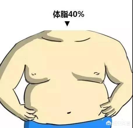 体脂要到达多少才能露出腹肌?