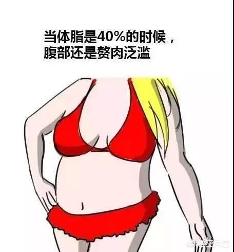 体脂要到达多少才能露出腹肌?