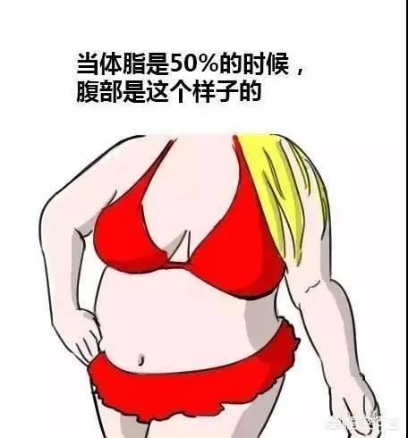 体脂要到达多少才能露出腹肌?