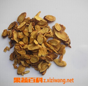 灸黄芪的功效与作用