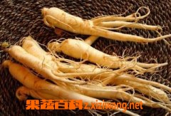 人参的功效与作用