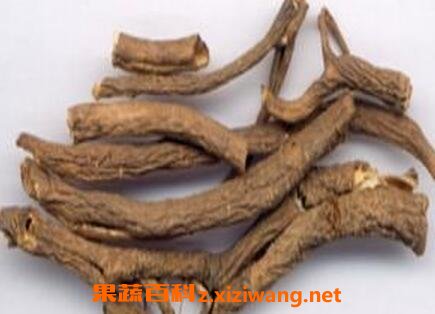 中药五加皮性味归经 五加皮的功效作用及应用