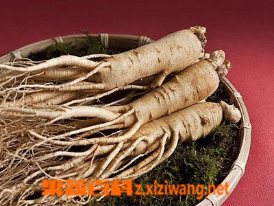人参的功效与副作用