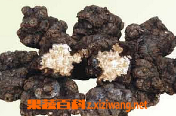 川穹的功效与作用
