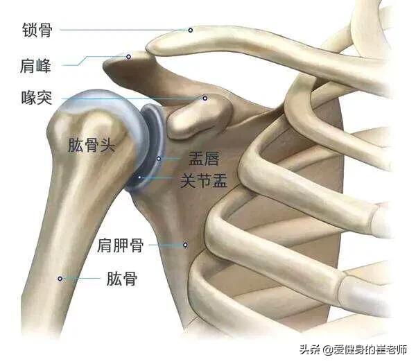 卧推40公斤是不是很渣?