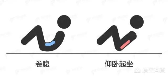 卷腹和仰卧起坐哪个更能锻炼腹肌?