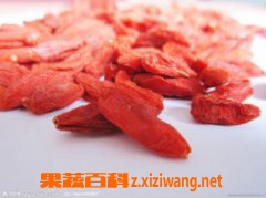 枸杞子怎么吃效果最好