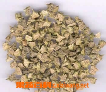 蒺藜的功效与作用