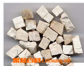 茯神的功效和作用