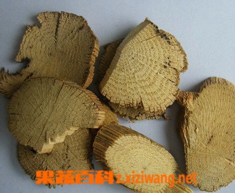 木通的作用与功效