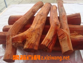 中药苏木的功效与作用