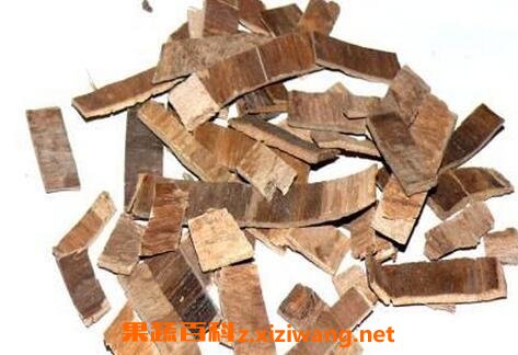中药合欢皮的功效与作用 合欢皮的使用禁忌