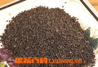 黑芝麻的功效与作用