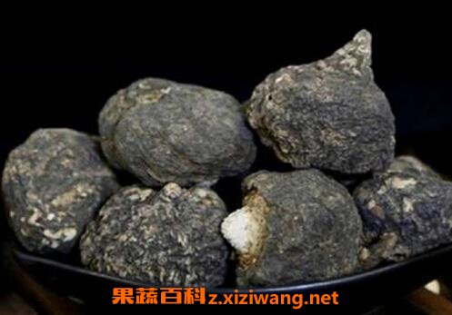 黑玛卡的功效与作用 黑玛卡的吃法及副作用