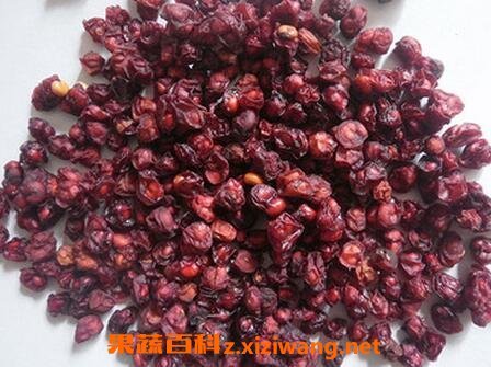 五味子的功效与作用及禁忌