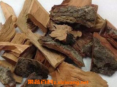 枫荷梨的功效与作用 枫荷梨有哪些药用价值