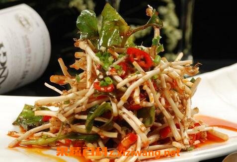竹茹鱼腥草的功效与作用及禁忌