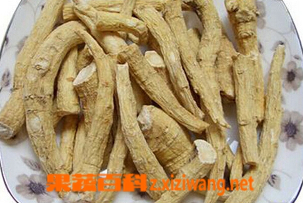 西洋参的功效与作用