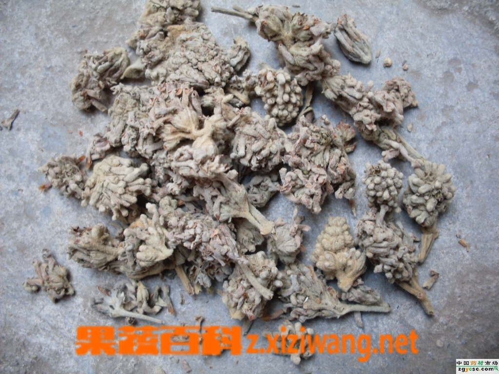 密蒙花的功效与作用