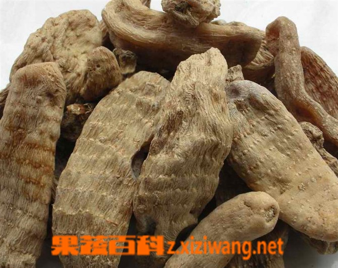 天麻怎么吃效果最好 天麻吃法技巧