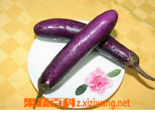 猪胆茄的功效与作用