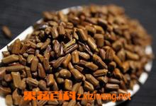 石决明的功效和作用