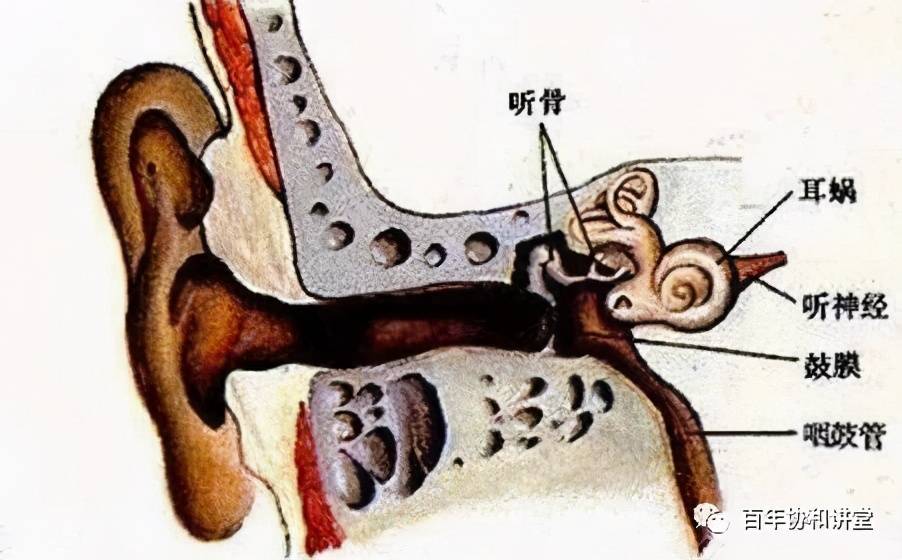 晚上侧身睡觉压得耳朵疼得要死 耳朵里面疼怎么回事