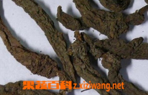 红大戟的功效与作用