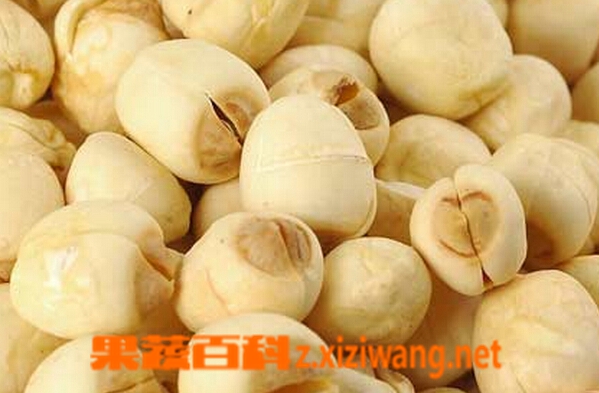 莲子的功效与作用