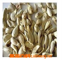 橘子核的功效与作用