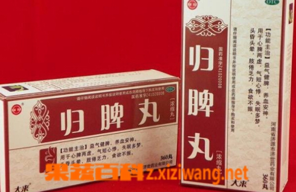 归脾丸的功效与作用