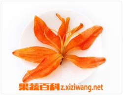 百合花的功效与作用