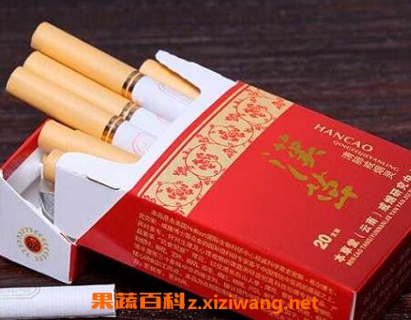 汉草的药用功效与保健作用