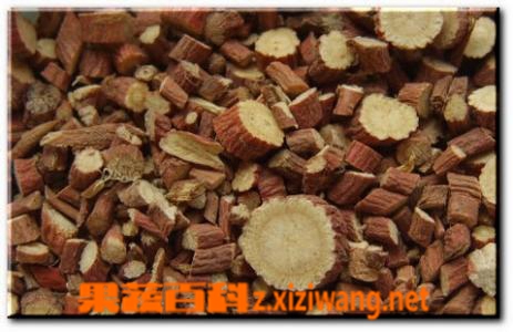 中药甘草的功效与作用